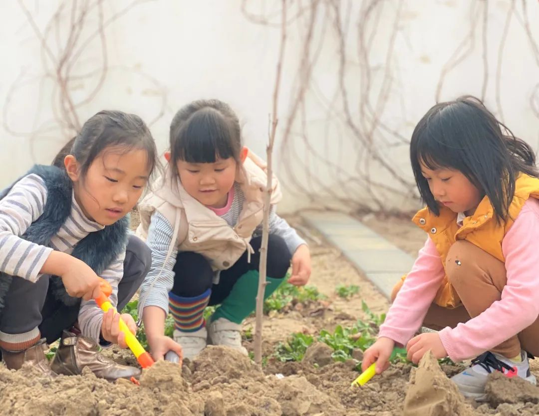 自然花园式生态幼儿园营造（二）_孩子